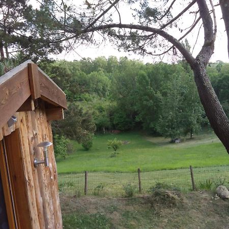 La Cabane En Bois Villemur-sur-Tarn Exteriér fotografie