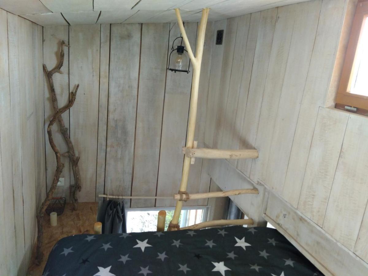 La Cabane En Bois Villemur-sur-Tarn Exteriér fotografie