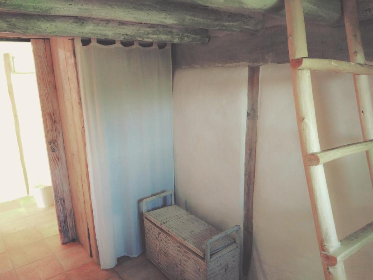 La Cabane En Bois Villemur-sur-Tarn Exteriér fotografie