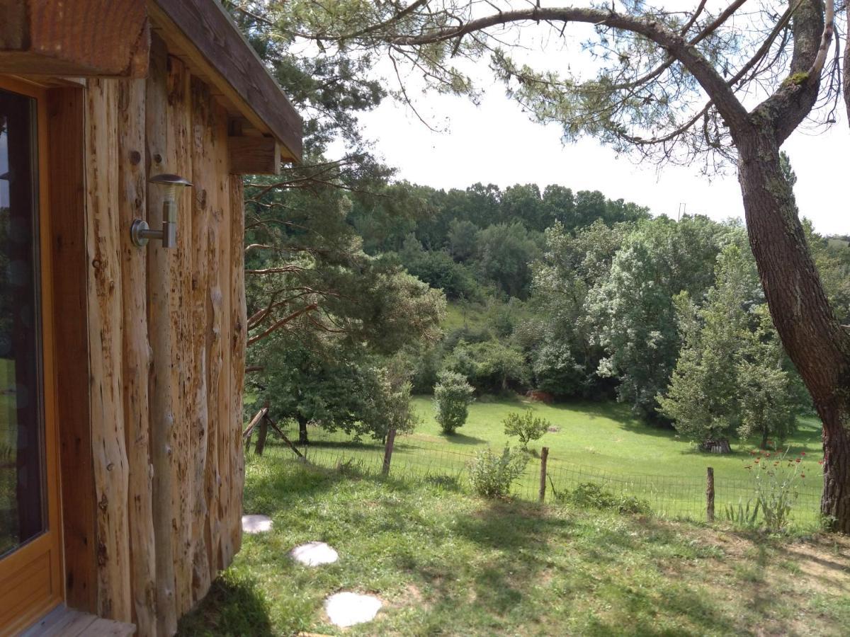 La Cabane En Bois Villemur-sur-Tarn Exteriér fotografie