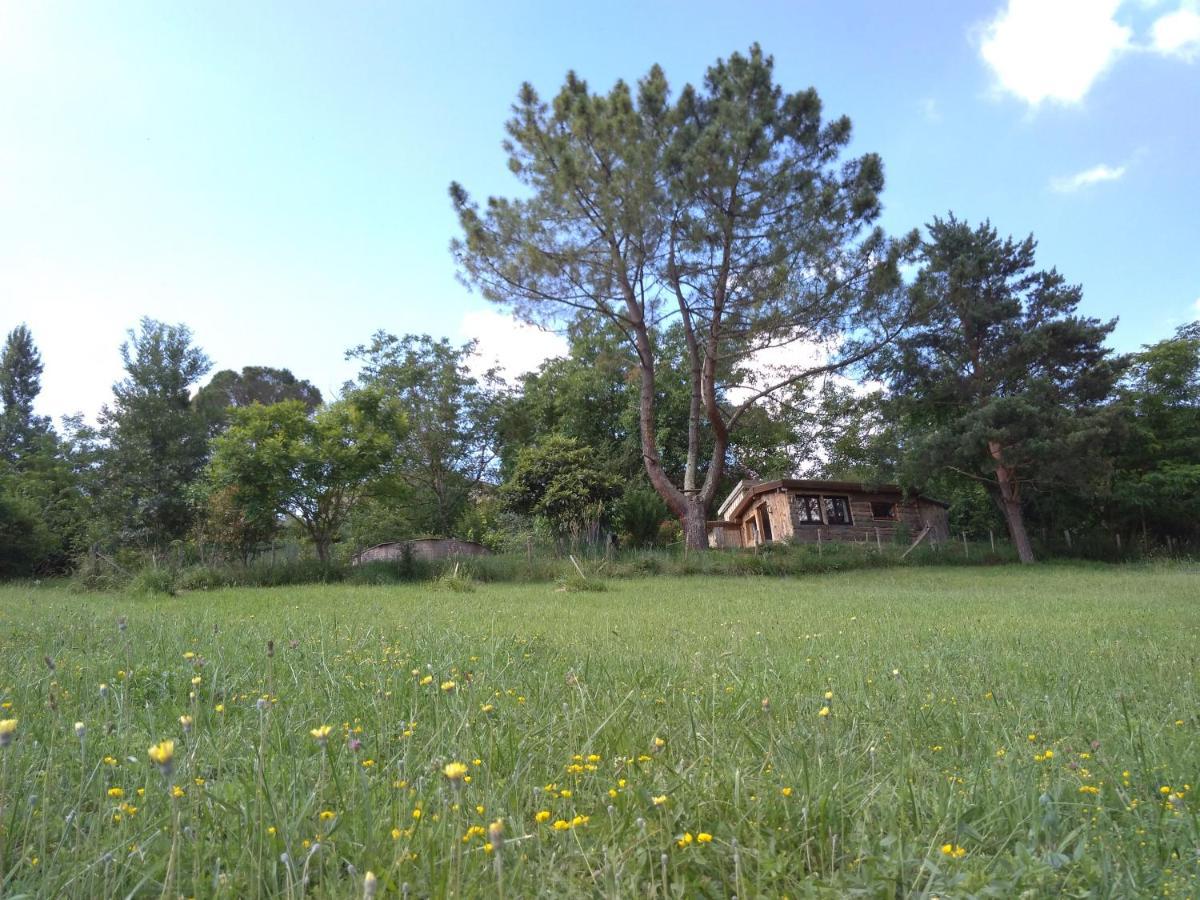 La Cabane En Bois Villemur-sur-Tarn Exteriér fotografie