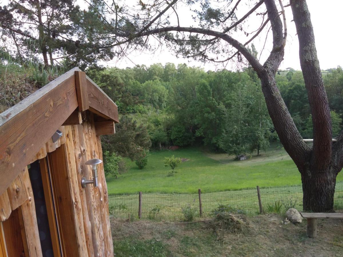 La Cabane En Bois Villemur-sur-Tarn Exteriér fotografie