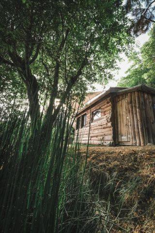 La Cabane En Bois Villemur-sur-Tarn Exteriér fotografie